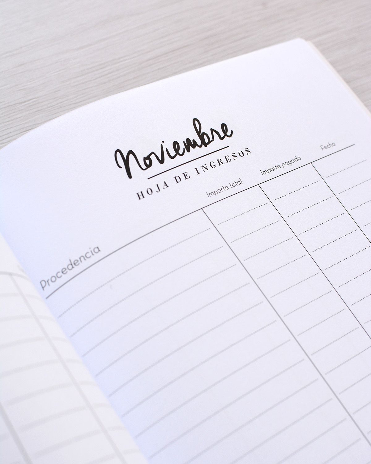 Cuaderno finanzas - Detalle - Noviembre hoja de ingresos (optimizado web)