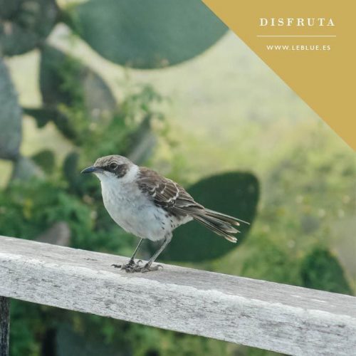eco-eco-magazine
