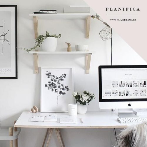 organización